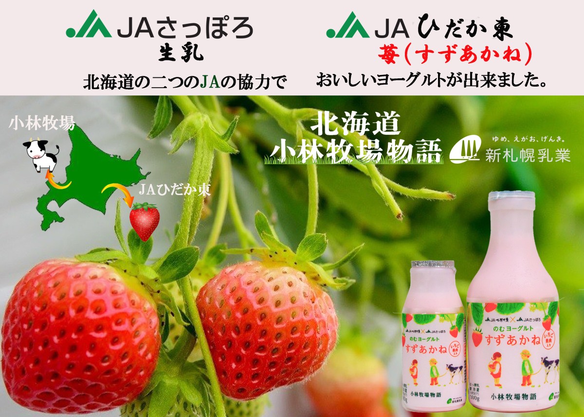 北海道小林牧場物語濃厚ヨーグルト 800g